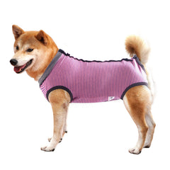 Dotoner funda de recuperación para perro cubre abdomen y evita lamer la herida.
