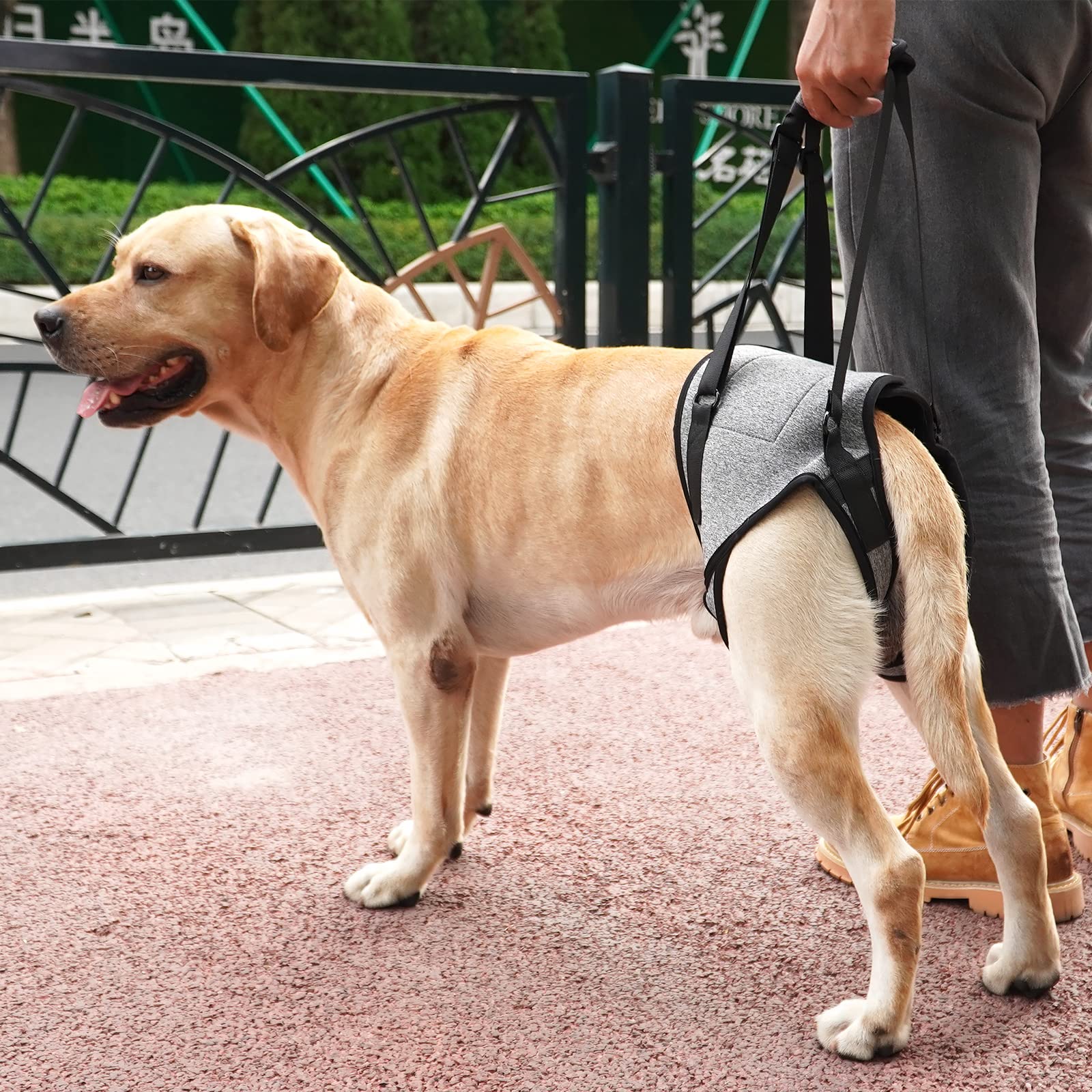 Asistencia eficaz para caminar y subir escaleras