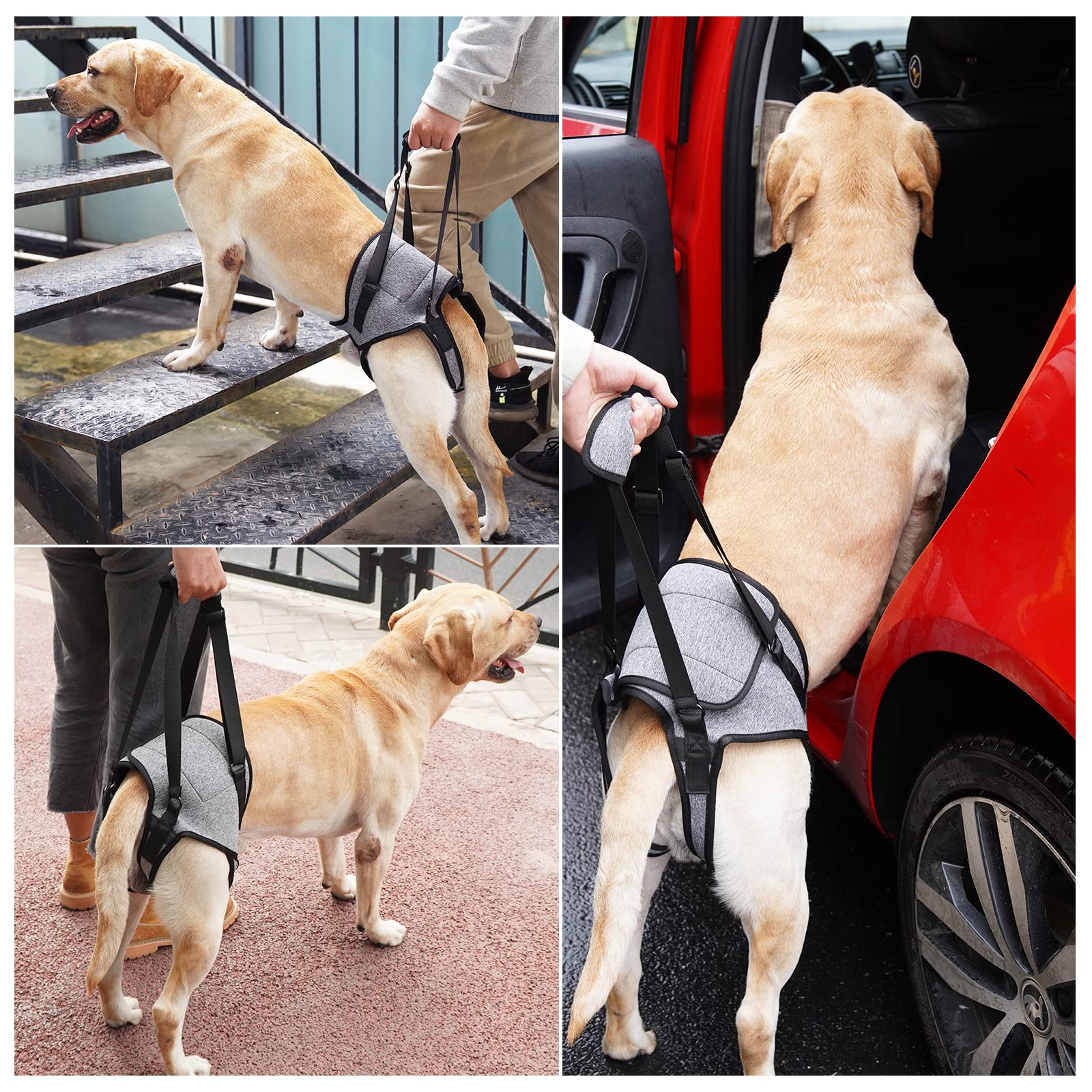 Diseño que permite orinar y defecar sin quitarse