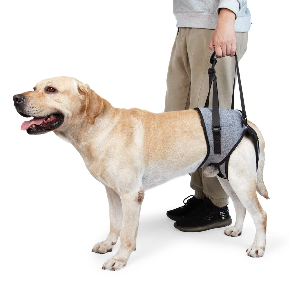 Dotoner Sling para perros grandes con soporte de patas traseras para mayor estabilidad
