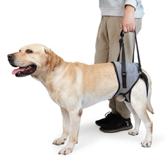 Dotoner Sling para perros grandes con soporte de patas traseras para mayor estabilidad
