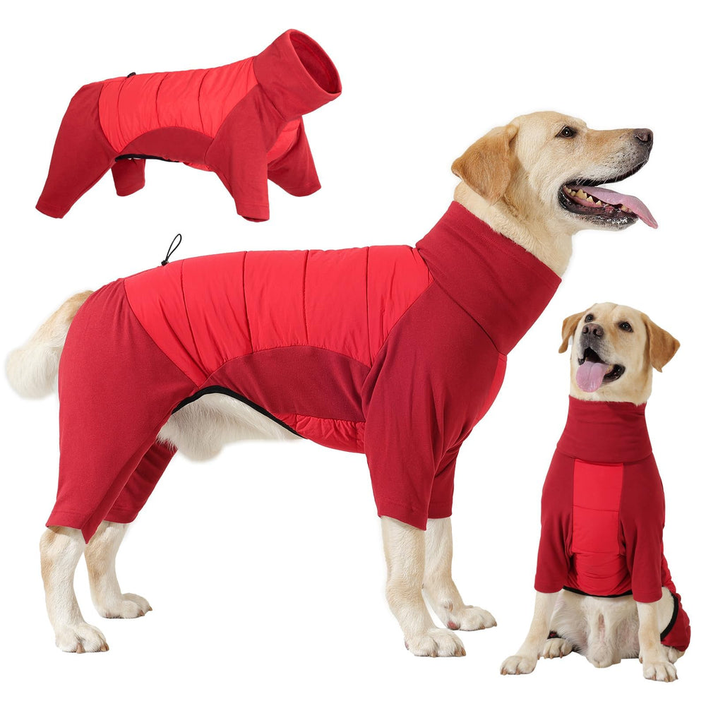 Sudadera Dotoner para perro con hueco para la correa, paseos prácticos.
