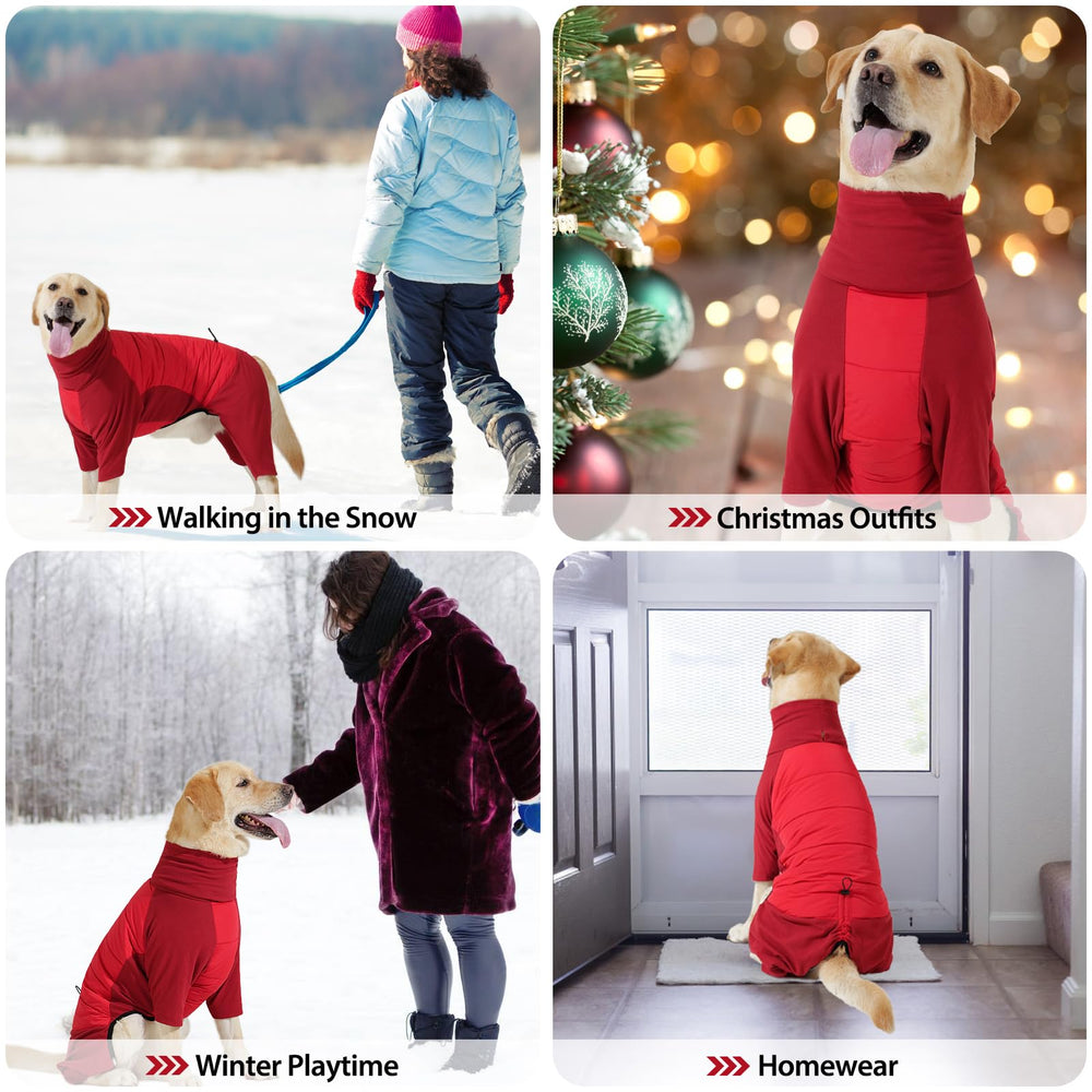 Disponible en tallas XS a 3XL para perros pequeños, medianos y grandes.