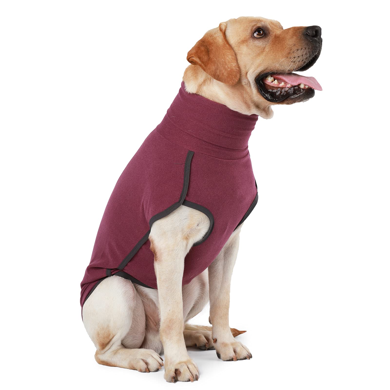 Dotoner suéter para perro cálido, ideal para paseos en frío.