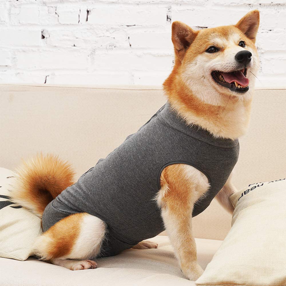 Dotoner talla XXL para perros grandes: cubre heridas con comodidad y libertad de movimiento