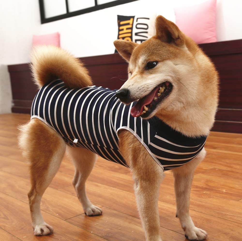 Compatible con gatos y otras mascotas, talla XL para variedad de tamaños