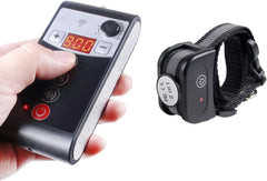 DOTSTAR collar entrenamiento inalambrico receptor para adiestramiento preciso en casa