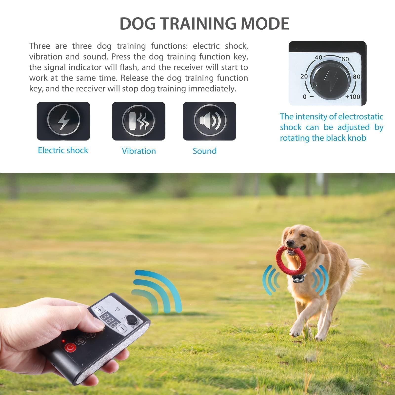 DOTSTAR transmisor cerca para perros, crea zonas seguras al aire libre