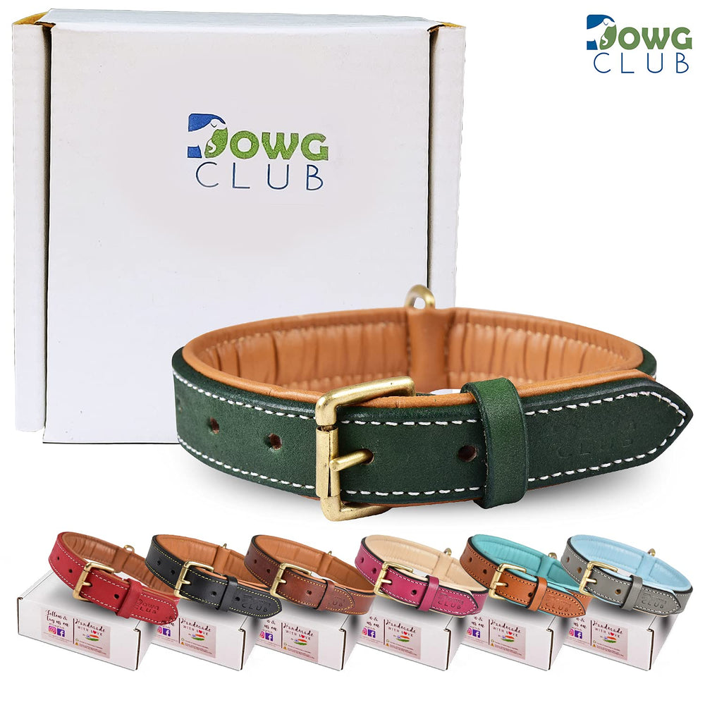 DowgClub collar hecho a mano en India, artesanos respaldan la durabilidad