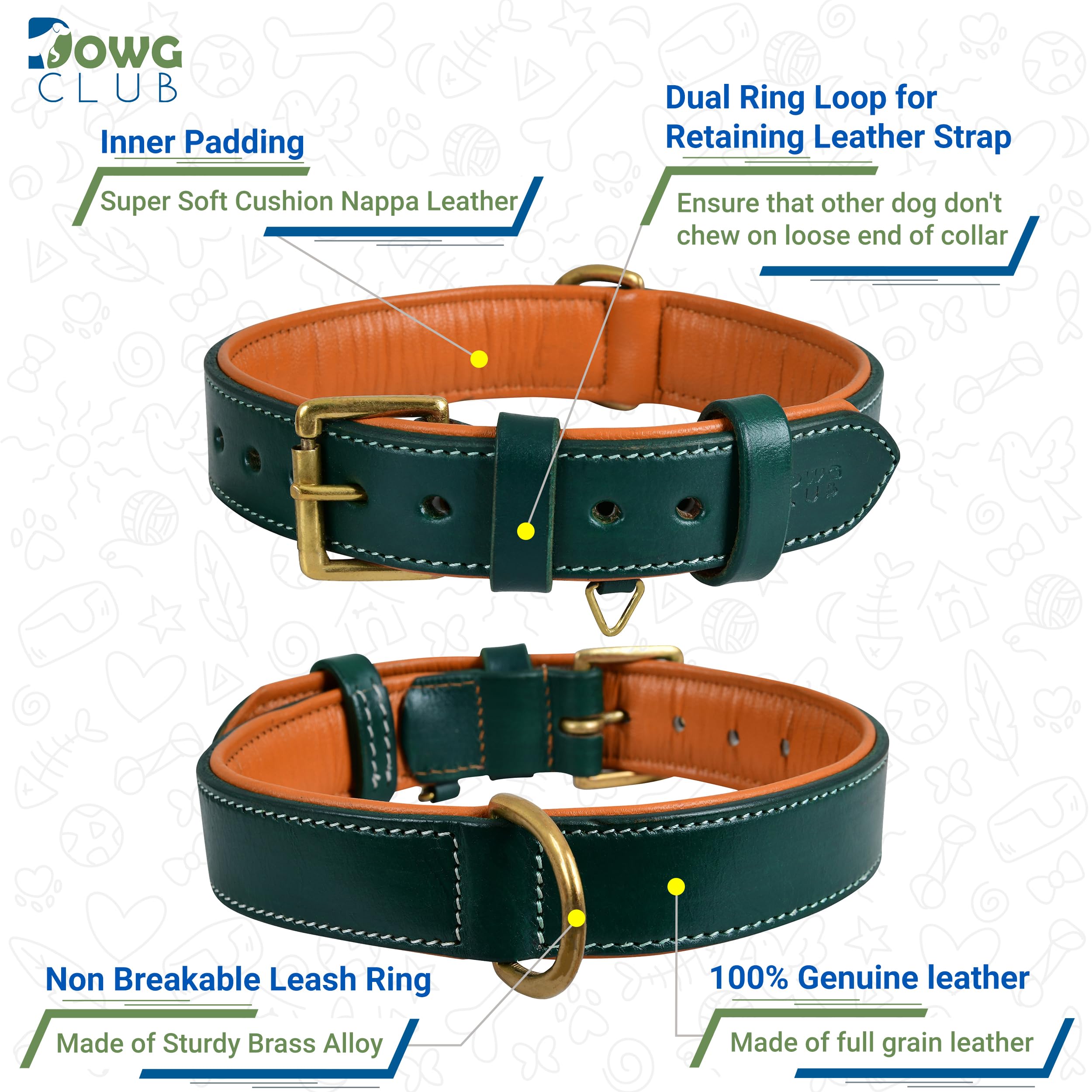 DowgClub collar con herrajes de latón, duradero para perros activos