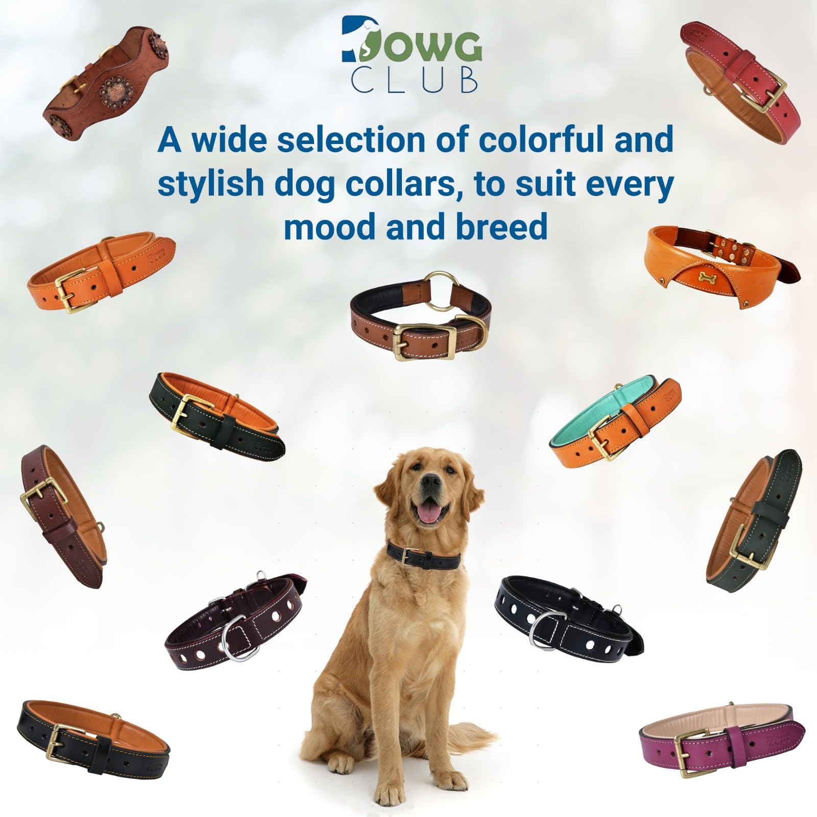 DowgClub collar disponible en nueve colores, estilo personalizado para cada perro