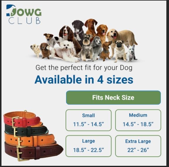 DowgClub collar verde, tono terroso para aventuras al aire libre
