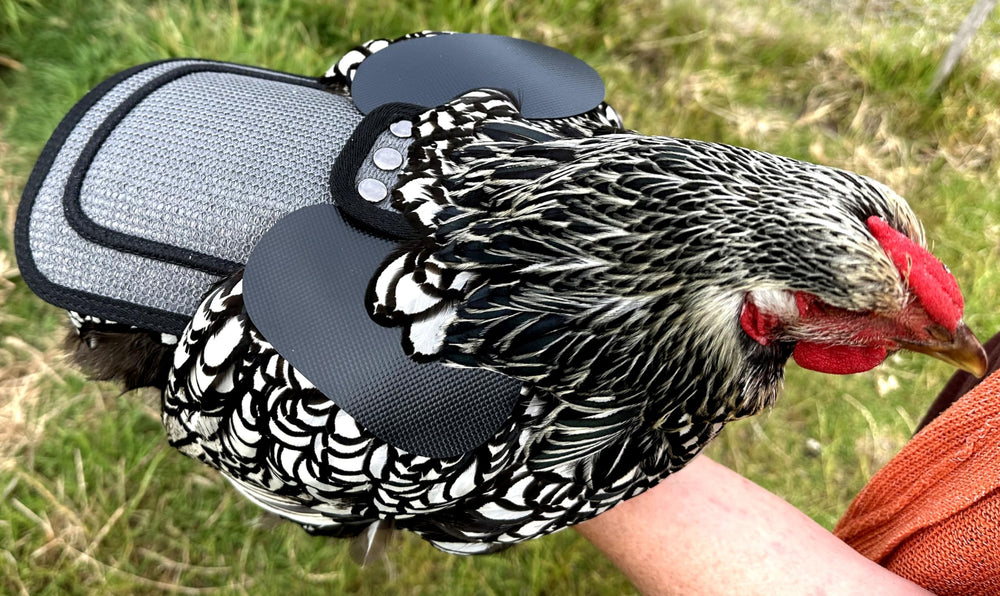 CORREAS AJUSTABLES Y broches de metal DOWN UNDER OUTDOORS para un ajuste estable en gallinas medianas y grandes.