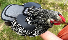 CORREAS AJUSTABLES Y broches de metal DOWN UNDER OUTDOORS para un ajuste estable en gallinas medianas y grandes.