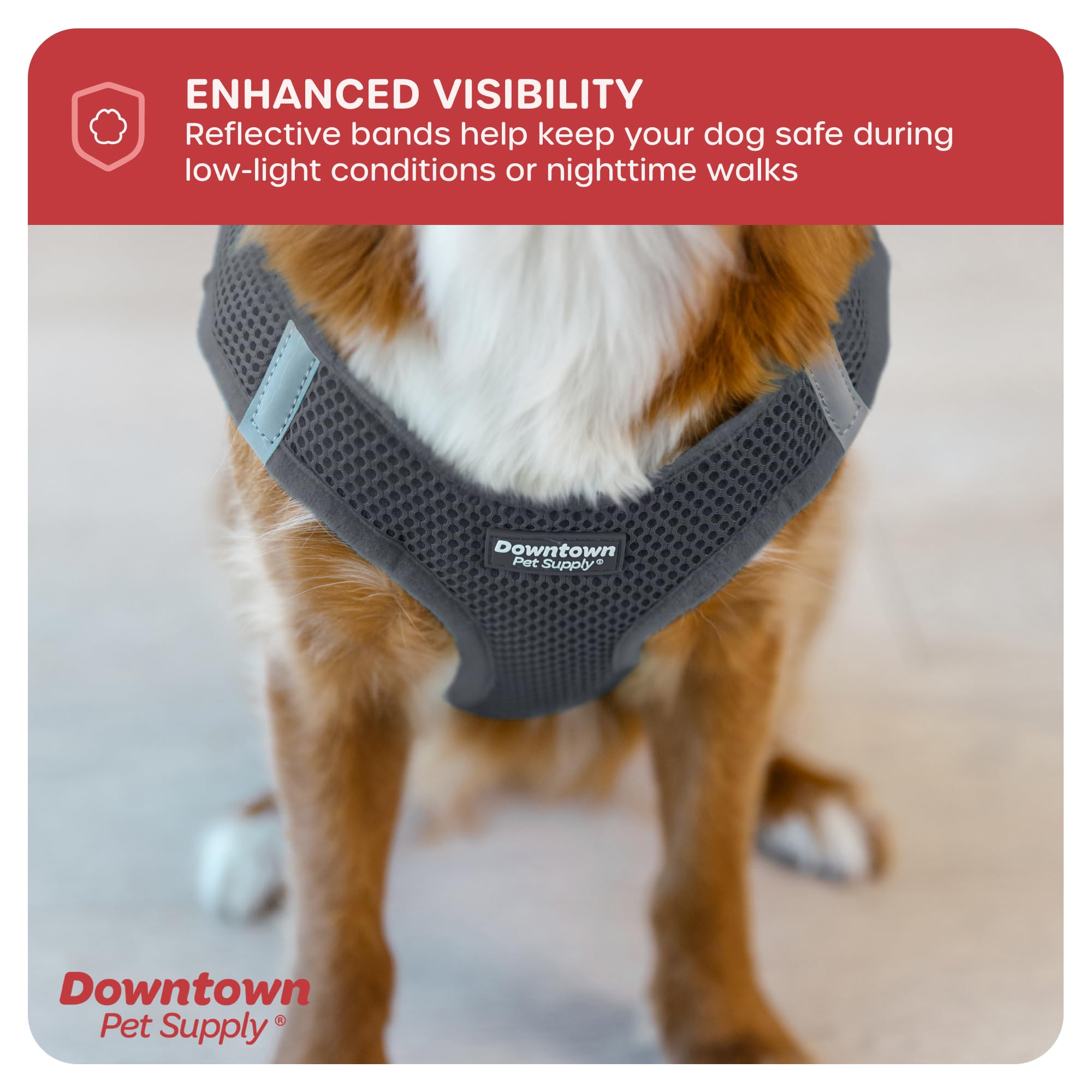 Ajuste rápido y seguro con arnés Downtown Pet Supply para perros.