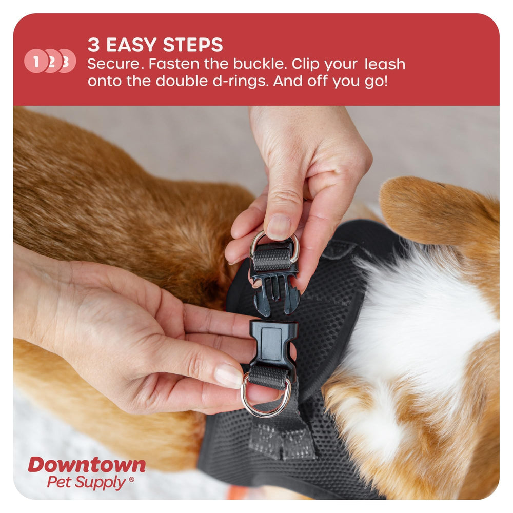 Arnés con doble anilla en D de Downtown Pet Supply para mayor seguridad.