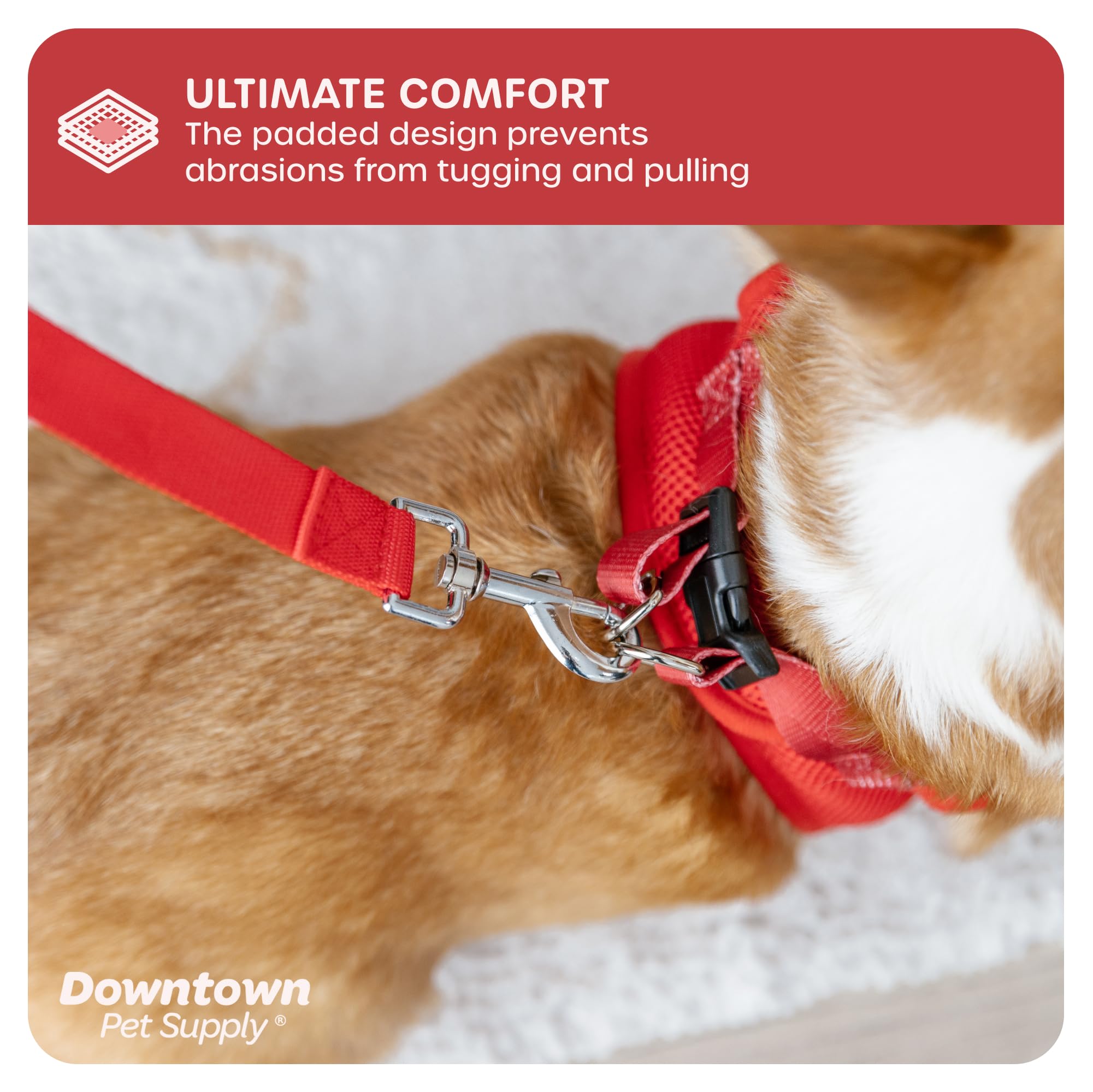 Arnés Downtown Pet Supply con doble aro en D para mayor control.