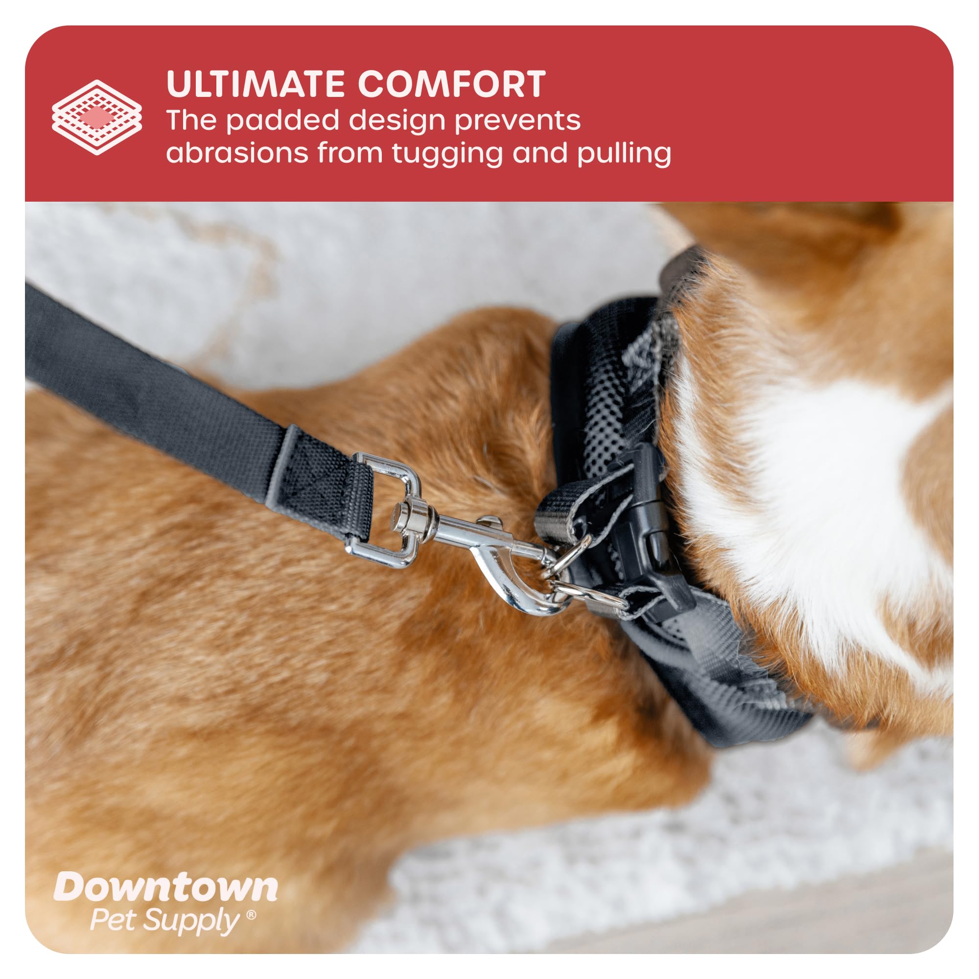 Arnés de uso diario y paseos de Downtown Pet Supply.