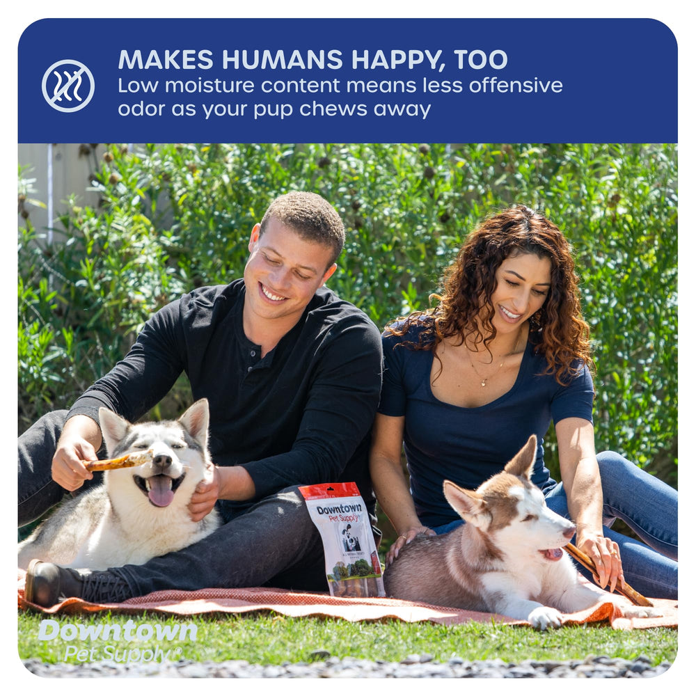 Bajo olor con Downtown Pet Supply, bullys aptos para uso en interiores.