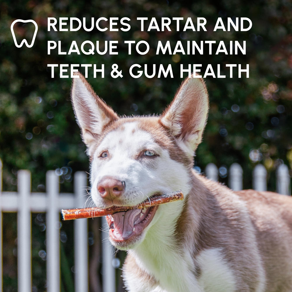 Downtown Pet Supply Bully Stick empaque resistente para transporte