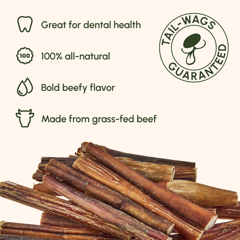 Downtown Pet Supply Bully Stick sin olor: ideal para interiores