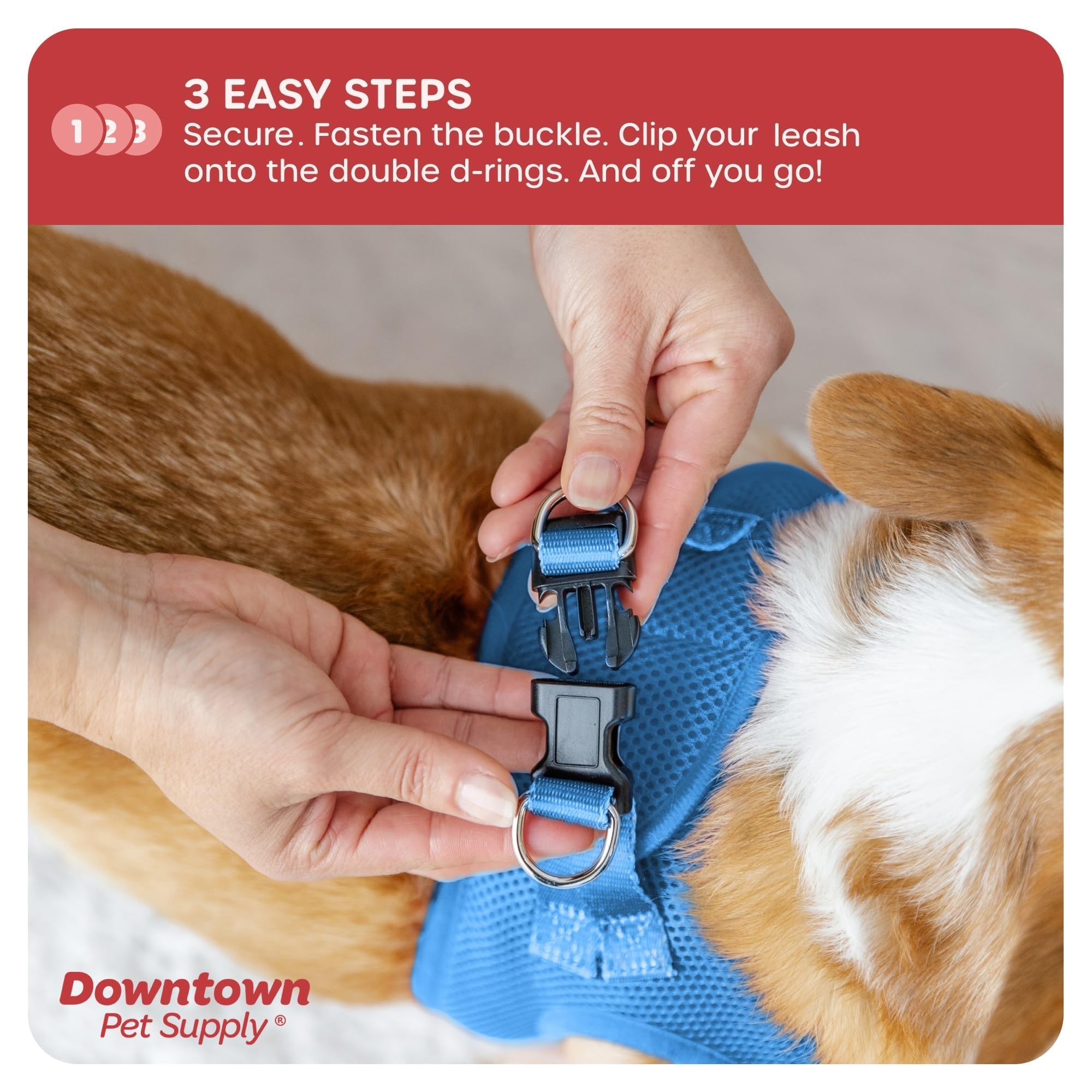 Downtown Pet Supply Cierre de gancho y bucle con hebilla rápida para un ajuste seguro.