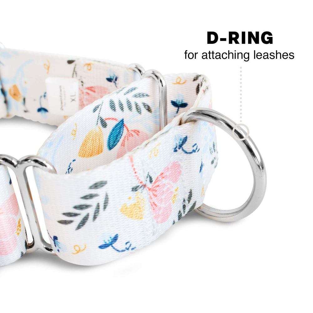 Collar martingale resistente a la intemperie de Downtown Pet Supply para clima variable.