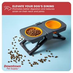 Downtown Pet Supply doble cuenco de silicona, práctico para comida y agua en ruta.