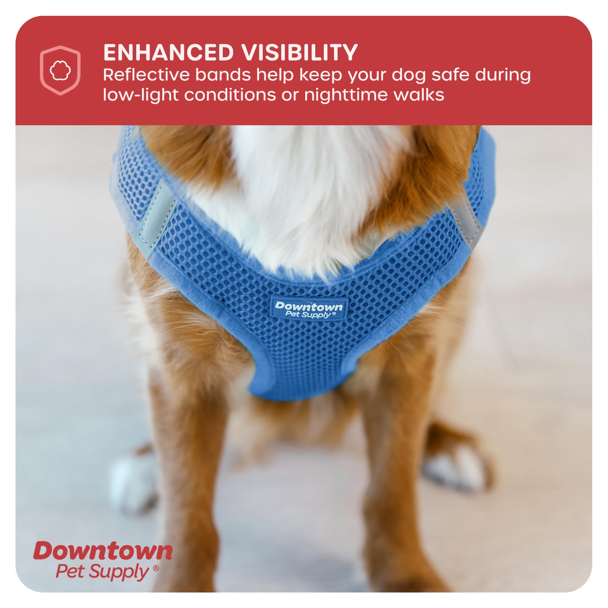 Downtown Pet Supply Material duradero para uso diario y años de tranquilidad.