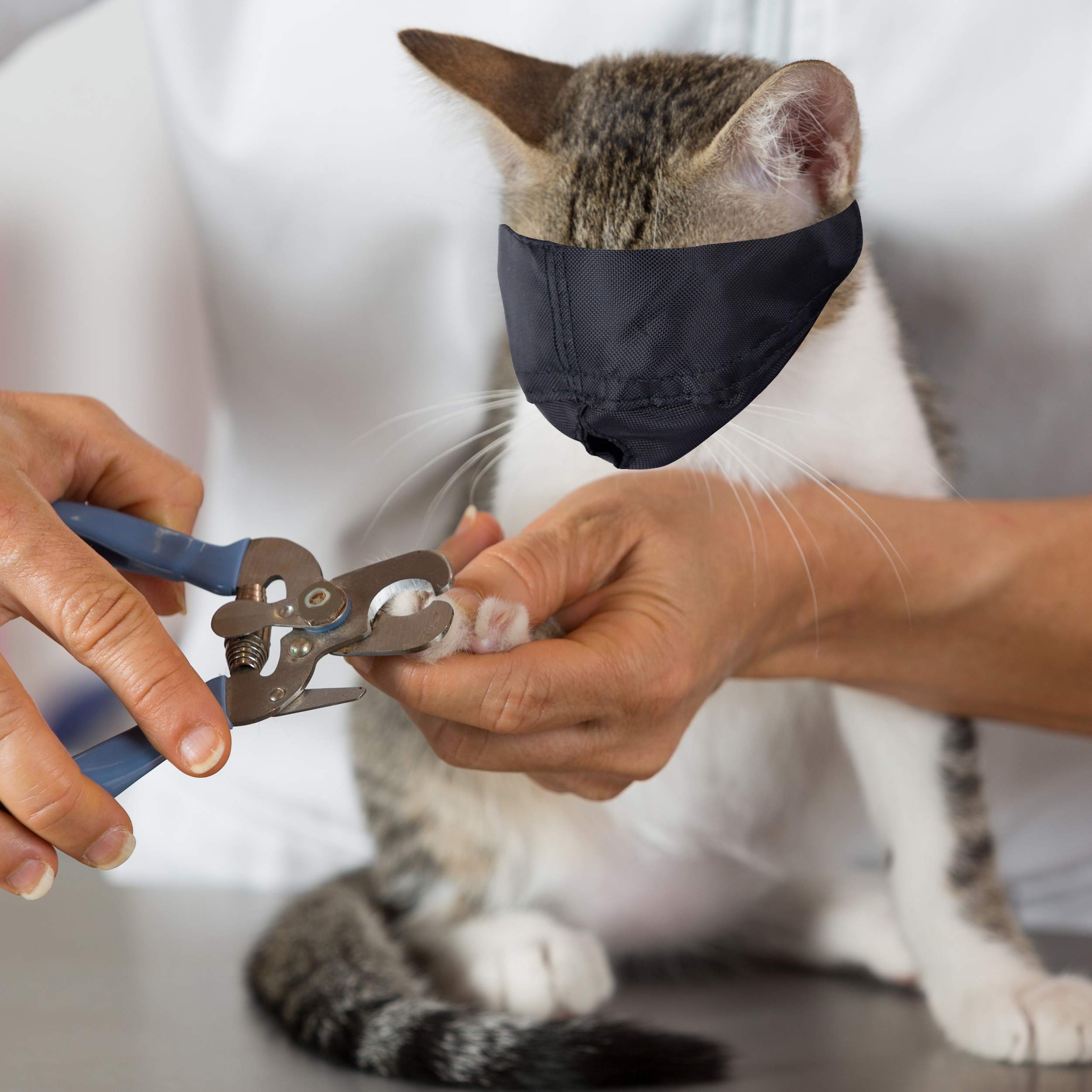 Muzzle de gatos en nylon resistente, diseño duradero y cómodo