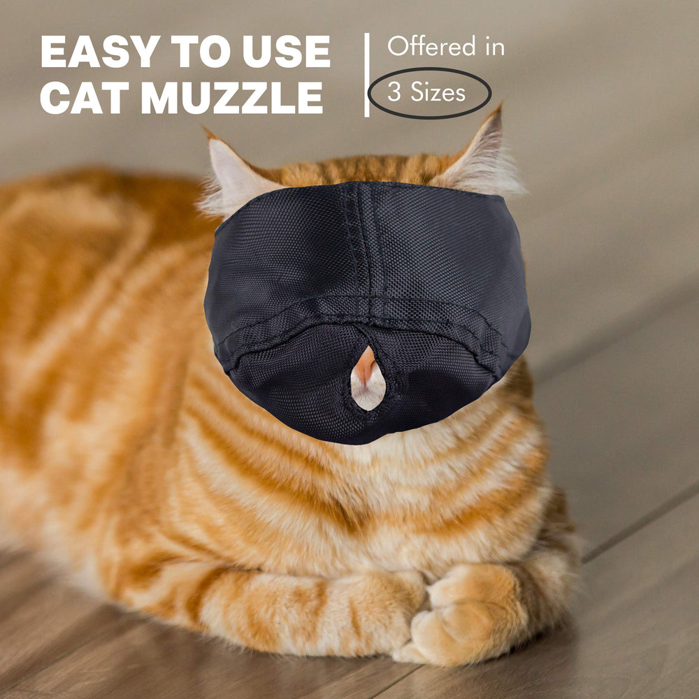 Muzzle para medición e inyecciones, uso práctico y seguro