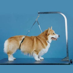 Confort para perros grandes con No Sit Haunch Holder durante el aseo