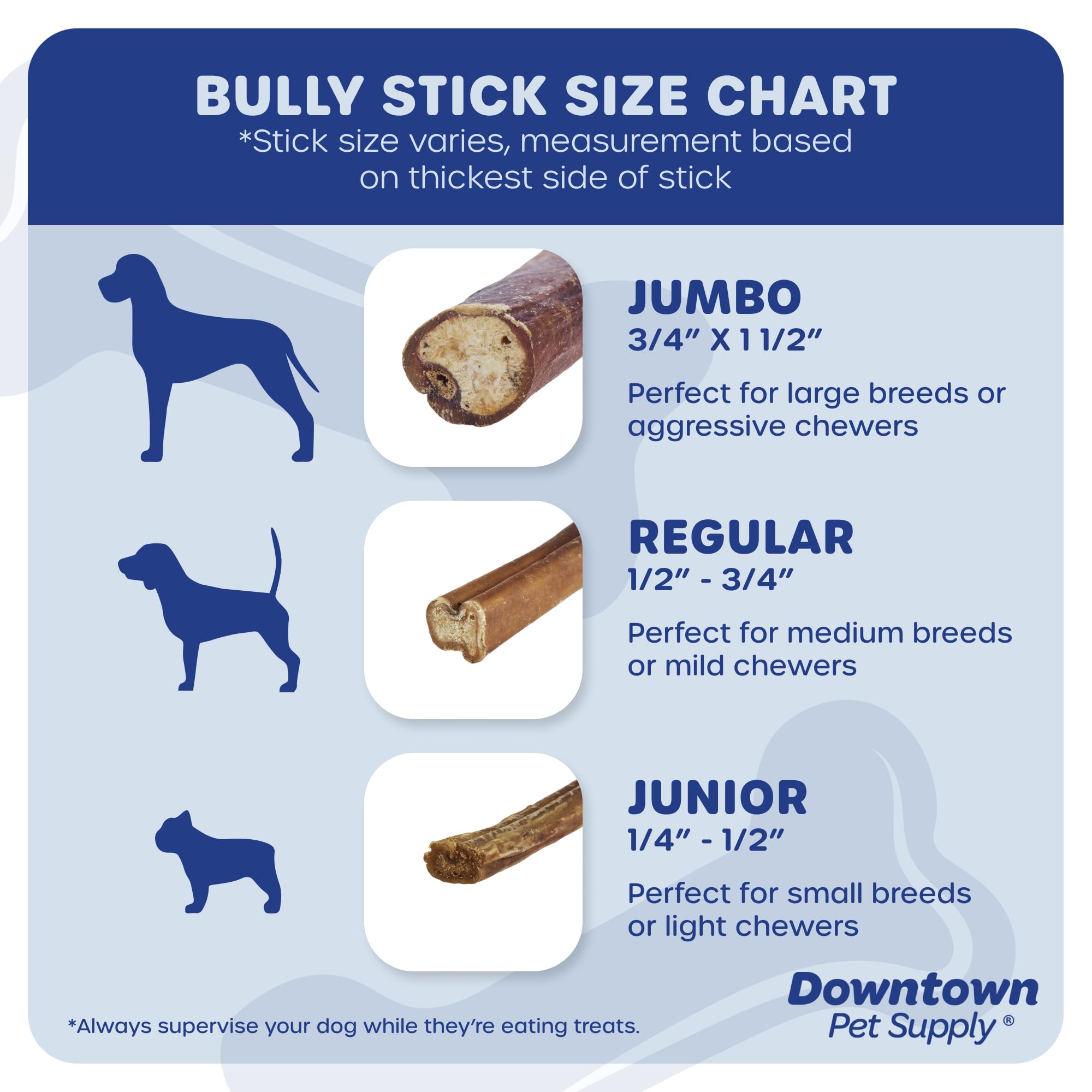 Perro masticando un bully stick de Downtown Pet Supply, experiencia de juego segura.