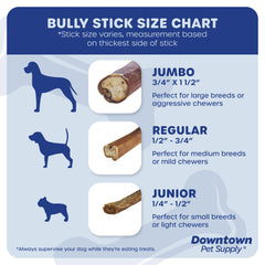 Perro masticando un bully stick de Downtown Pet Supply, experiencia de juego segura.