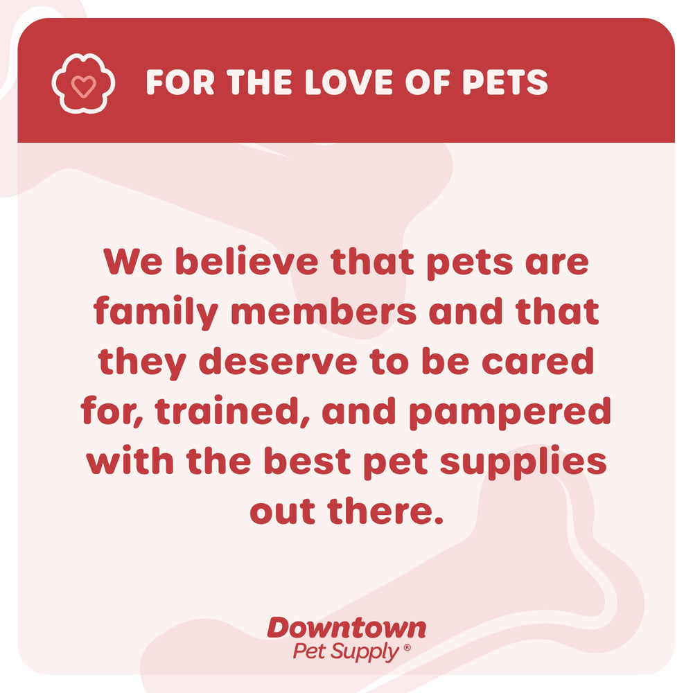 Uso diario al aire libre con el arnés Downtown Pet Supply