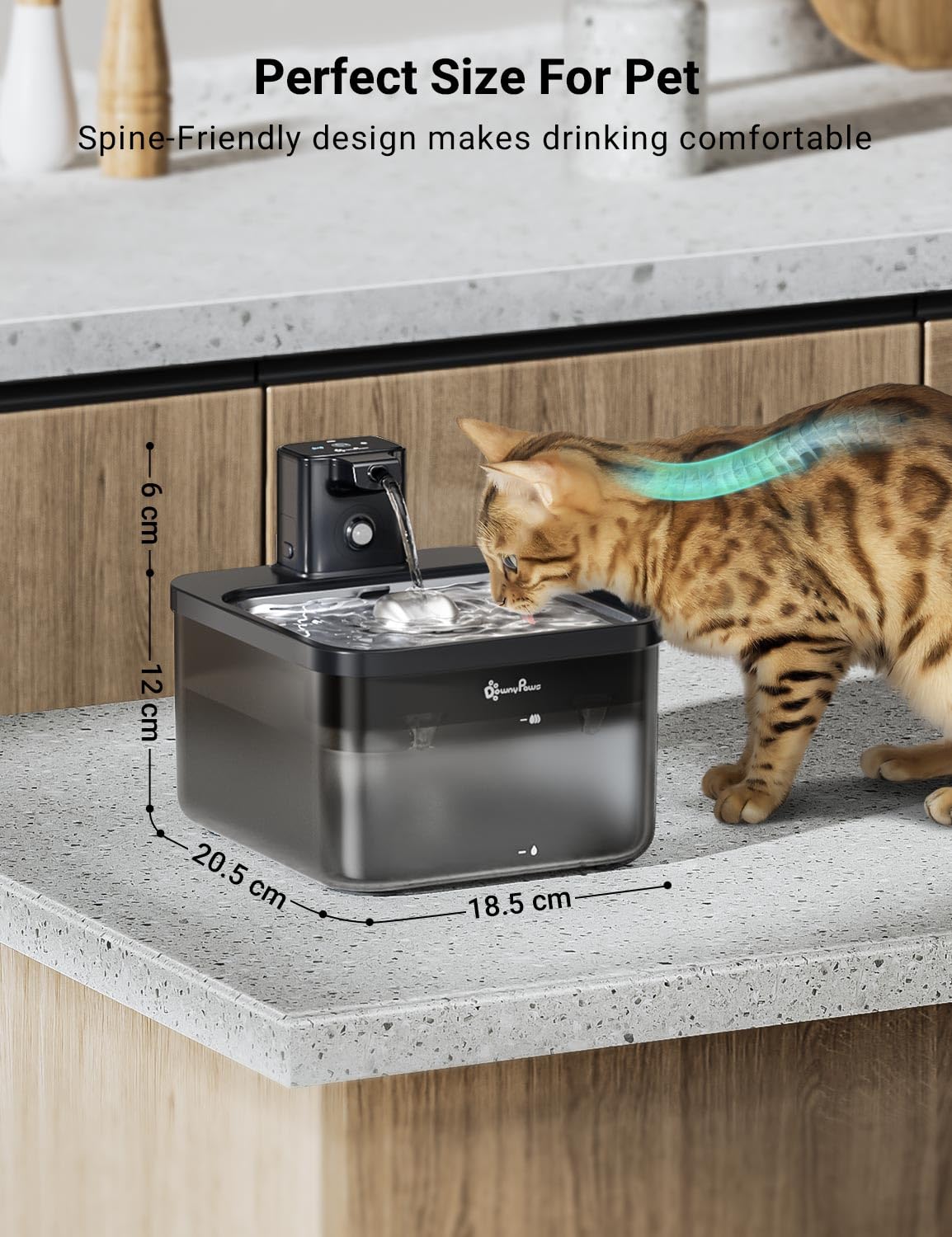 Acero inoxidable DownyPaws, bebedero seguro para gatos.