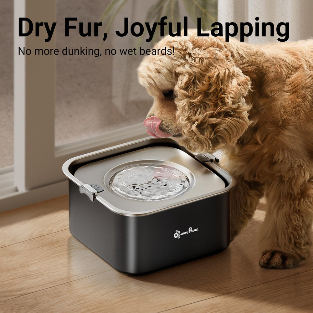 DownyPaws cuenco 3 L para perros medianos con amplia reserva de agua.