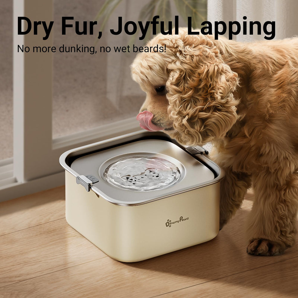 DownyPaws capacidad de 3 L para perros medianos.