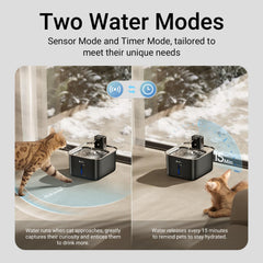 DownyPaws: capacidad de 3 litros para menos recargas