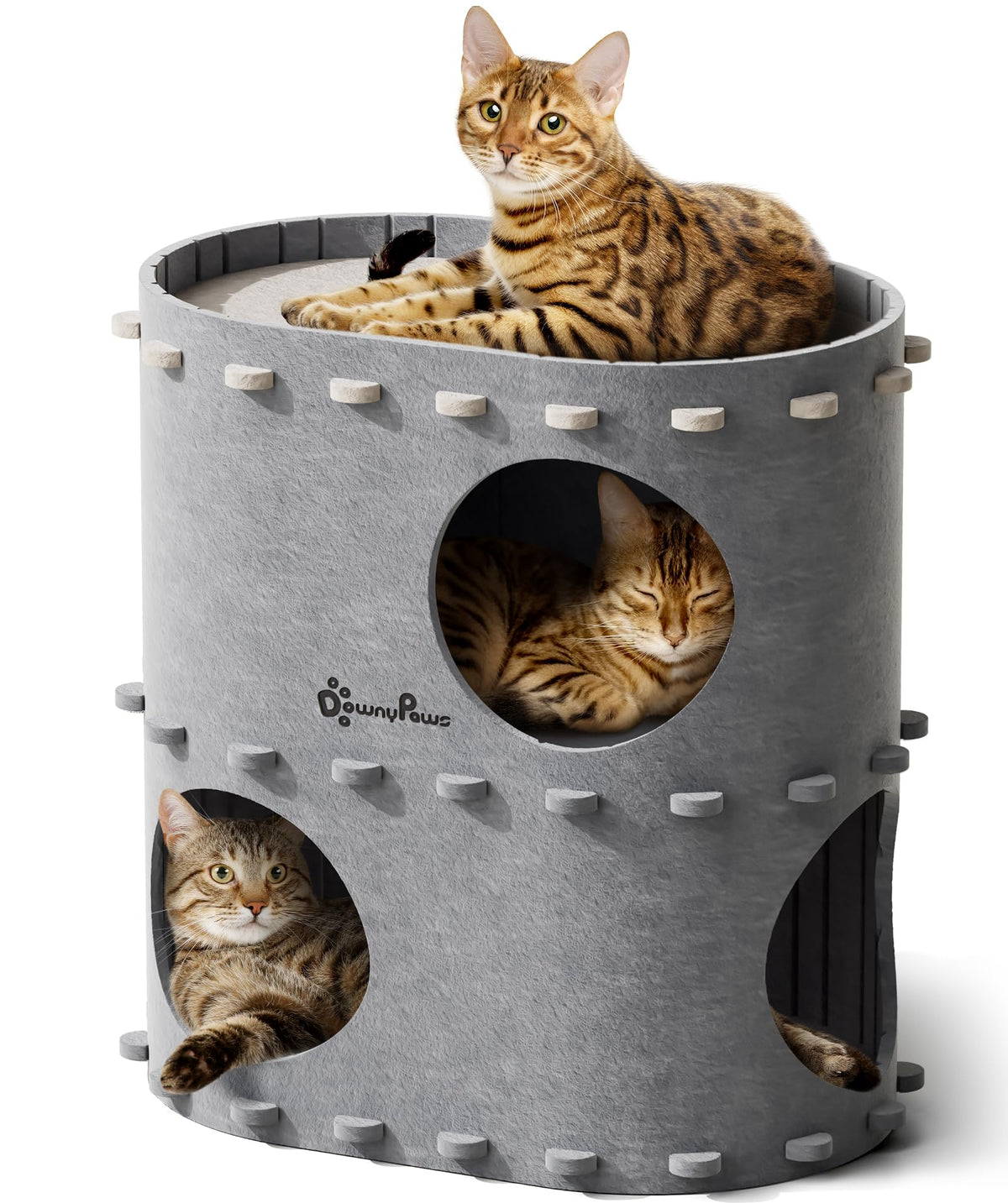 DownyPaws casa-gato interior de dos niveles ofrece refugio compartido para varios felinos.