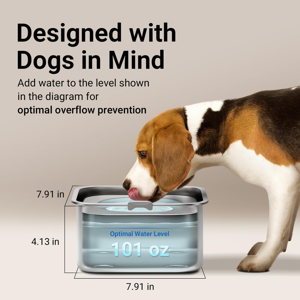 DownyPaws diseño control de flujo centrado para beber cómodo
