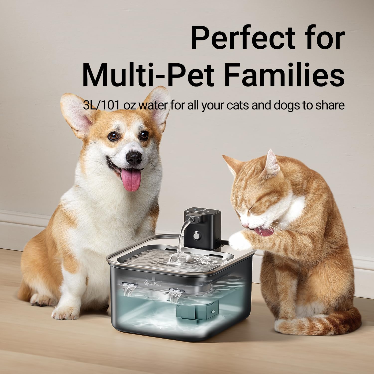 DownyPaws: filtración de 5 etapas para agua más fresca