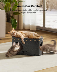 DownyPaws PeekaPurr dos niveles para convivencia entre gatos