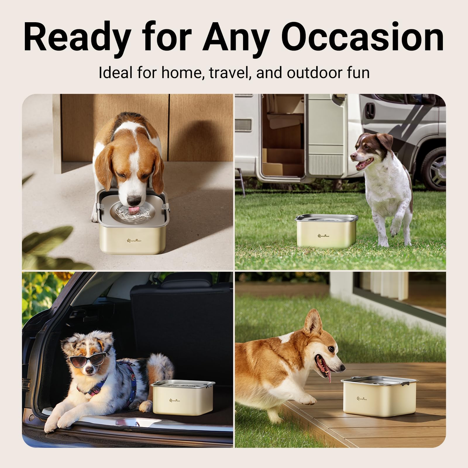 DownyPaws uso en coche para viajes sin derrames.