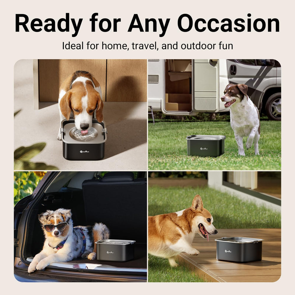DownyPaws cuenco ideal para coche y viajes sin derrames.