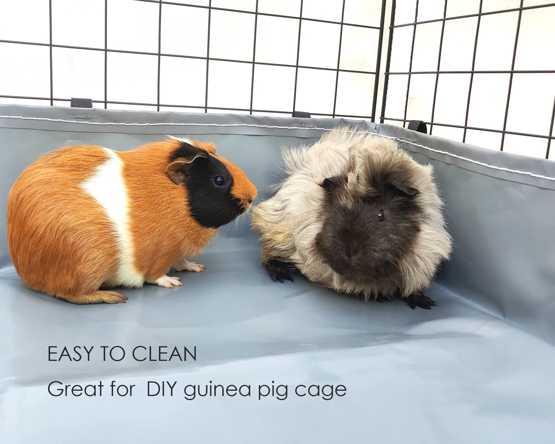 Base lavable DOZZOPET, limpieza rápida y reutilizable en jaula para mascotas pequeñas