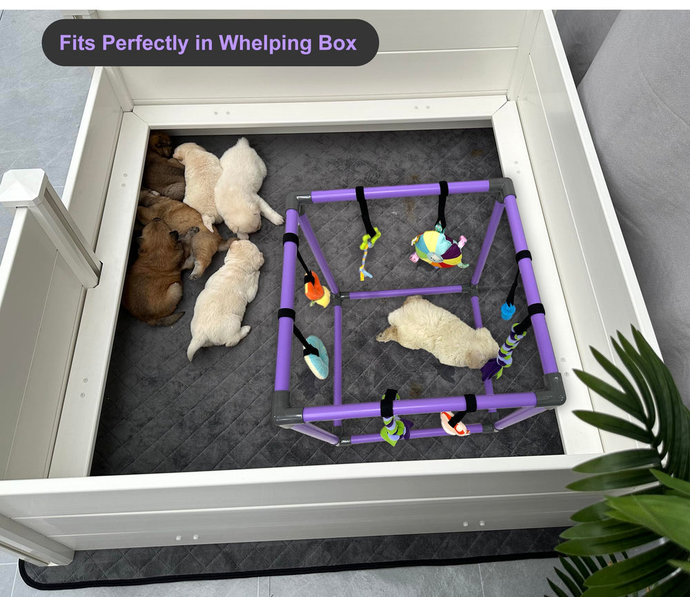 DOZZOPET Compatible con cajas de cría interiores para mayor comodidad.