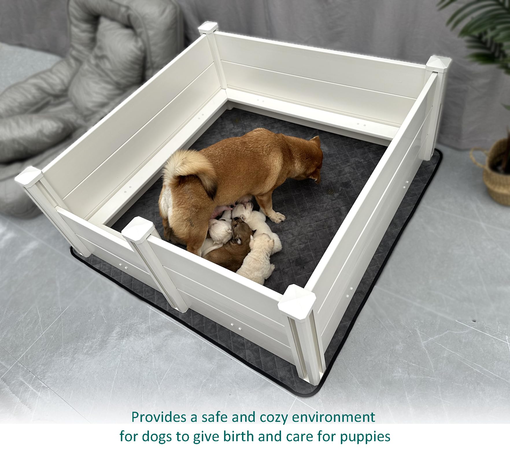 DOZZOPET configuracion-caja-whelping-cachorros crecimiento seguro.