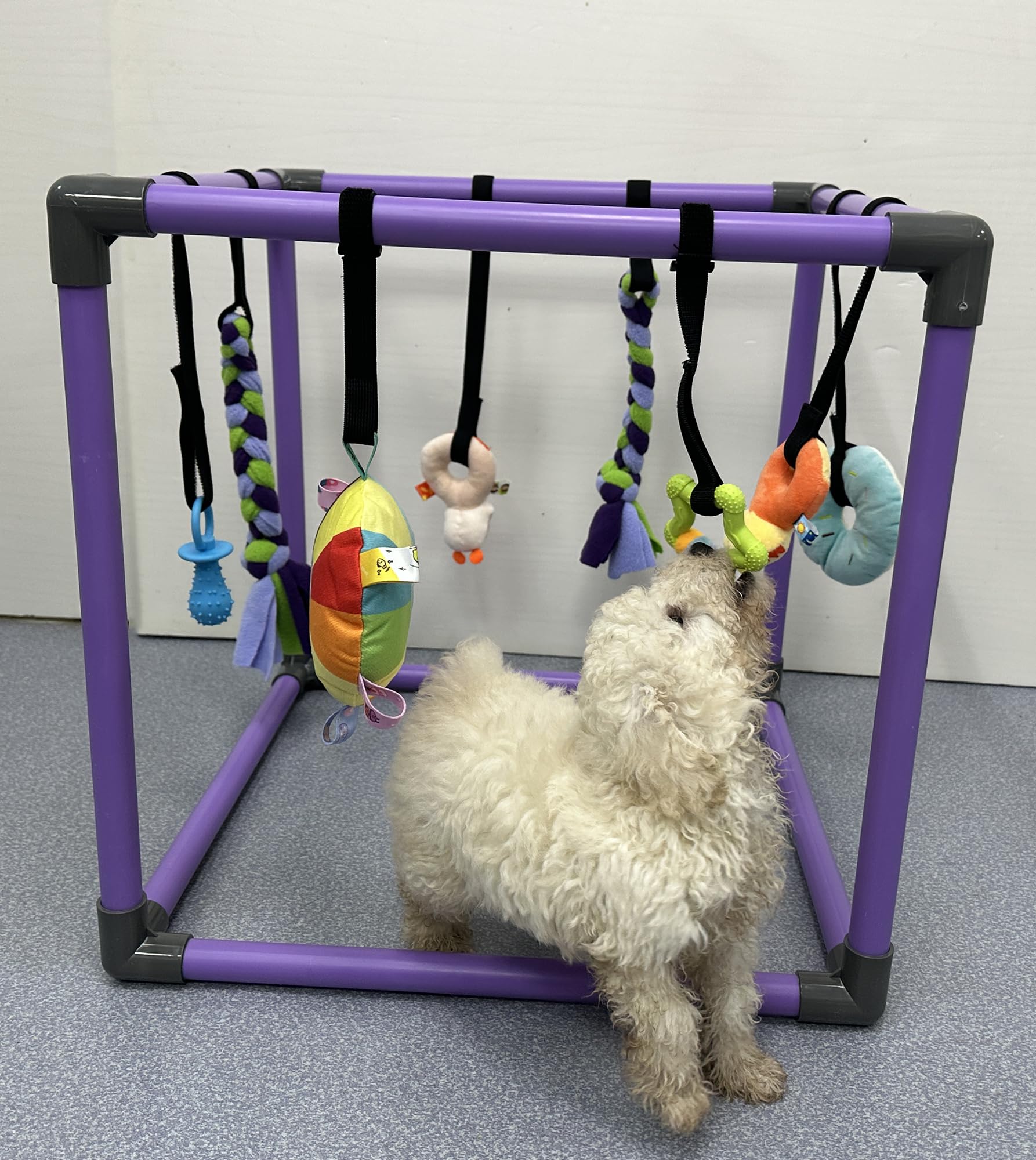DOZZOPET Estimula sentidos con texturas, sonidos y movimientos para cachorros.