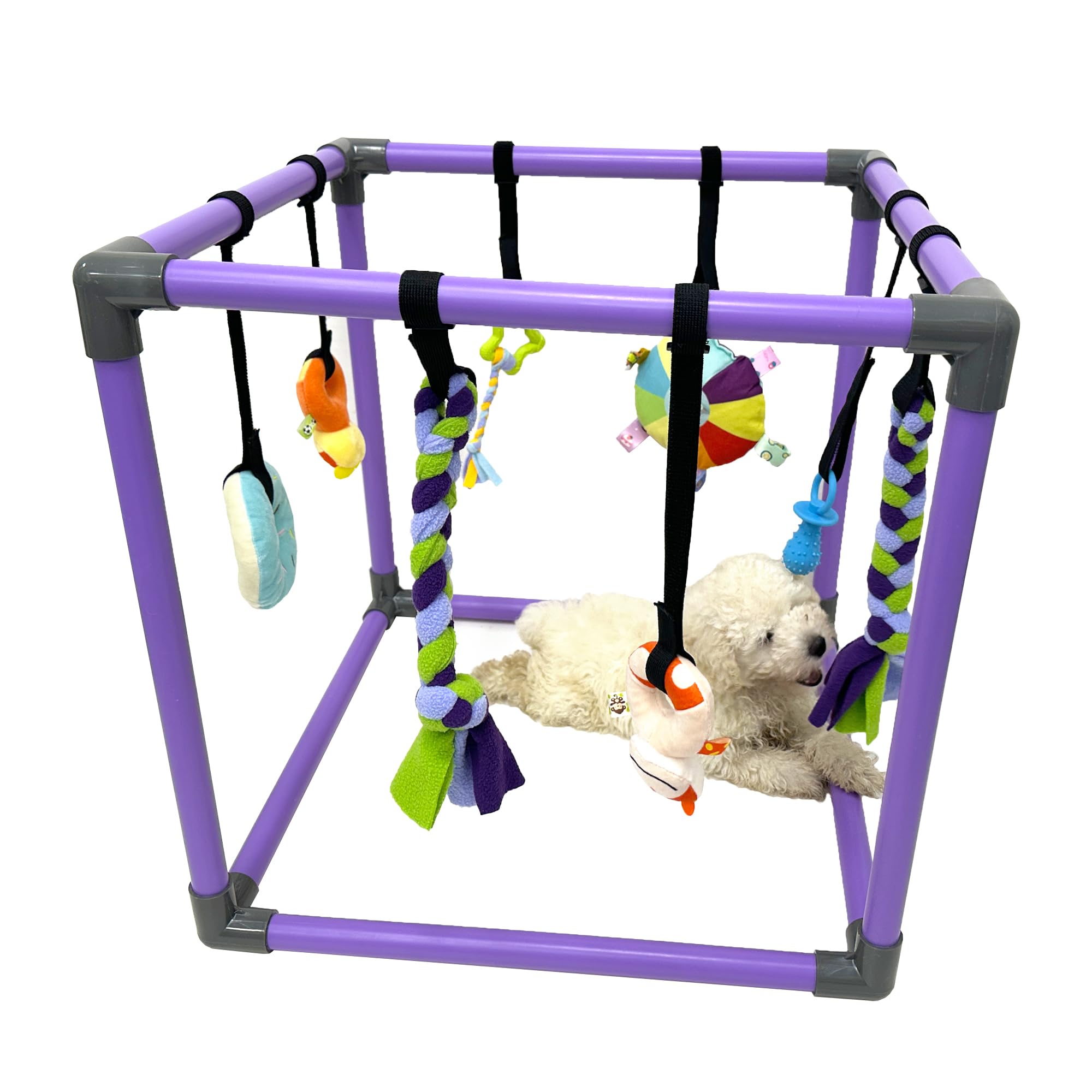 DOZZOPET Gimnasio para cachorros: juguetes colgantes coloridos estimulan la curiosidad.
